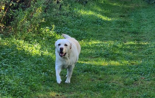 Great Walks right on your doorstep