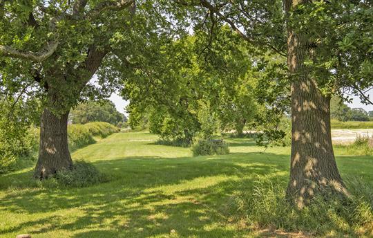 Oak Acre Walk