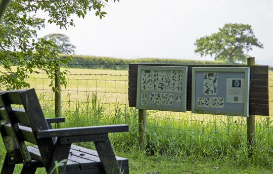 Take some time out to do some quiet Bird Watching 