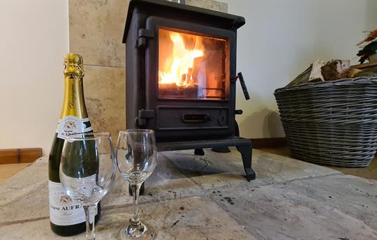Enjoy the delights of a Wood Burning Stove