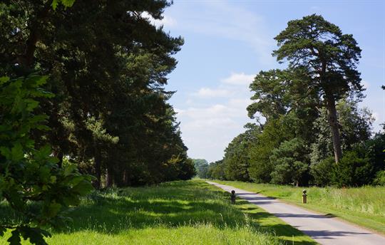  Monnington Walk minutes from the house