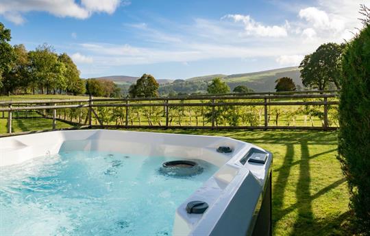 Hot tub in Cwtch