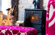 Stay cosy and warm by the woodburner