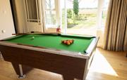 Games Room with pool table