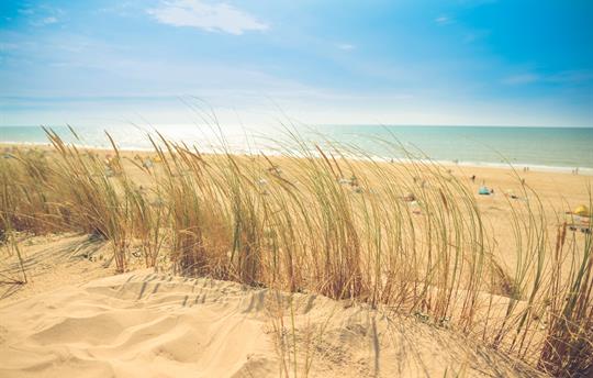 Enjoy a day at the beach