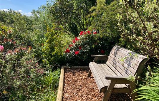 A quiet place to sit