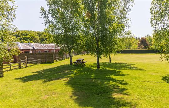 West facing fenced gardens & recreation area