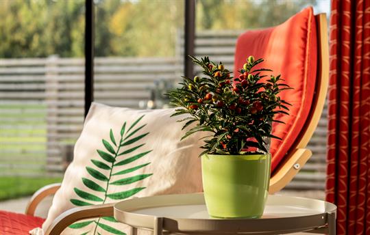 Wagtail Cottage garden view