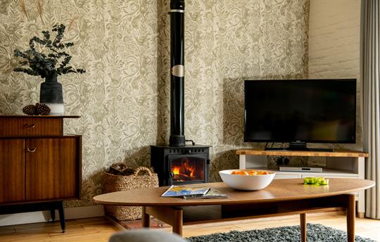 Swallow Cottage wood burning stove