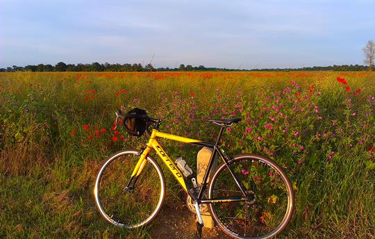 Cycling in the North Norfolk countryside