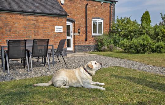 Pet Friendly with walks right on your doorstep
