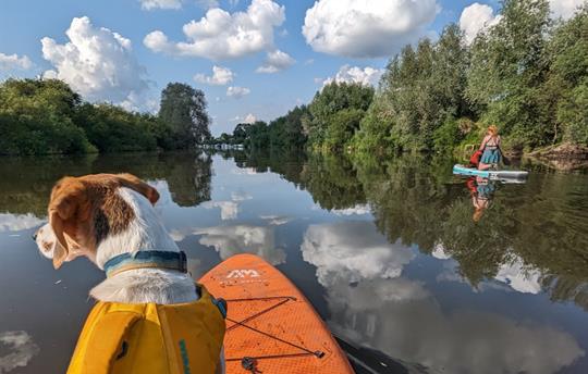 Paddle boarding on the River Severn