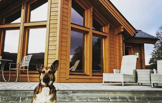 Dog friendly accomodation 