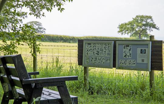 Take some time out to do some quiet Bird Watching 