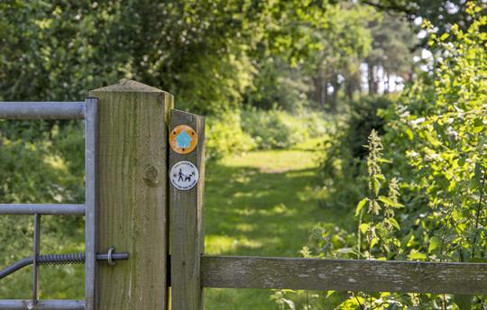 Great Walking right on your doorstep