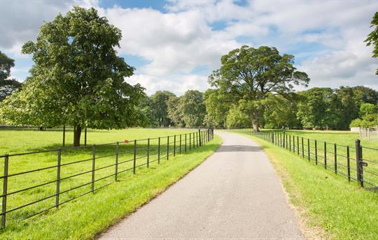 Stroll along the drive