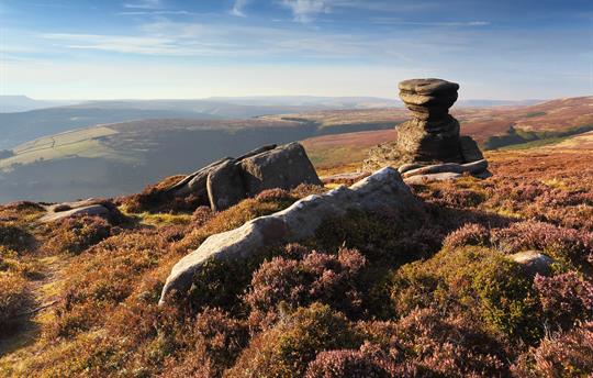 Heather time on Derwent edge