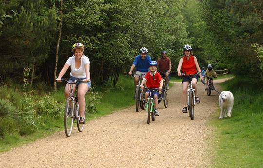 Wheel your way to fun with family cycling adventur