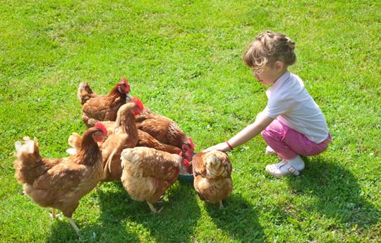 Feeding Time – Little Hands, Big Smiles!