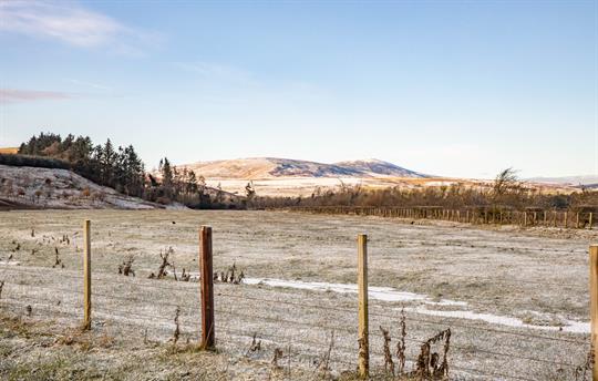 Walks directly from the door