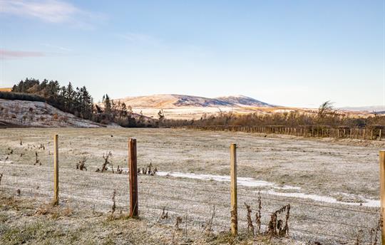 Plenty of walks direct from the door