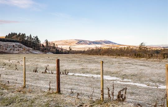 Enjoy walks directly from the door