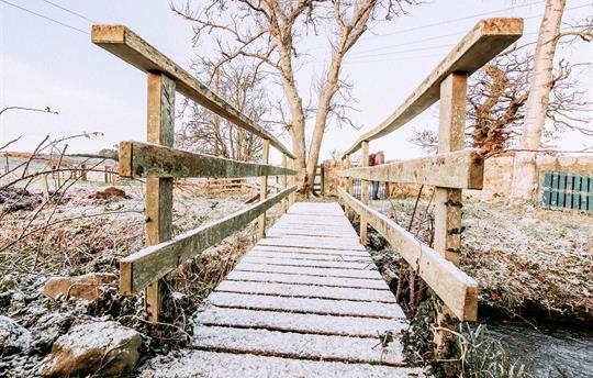 Bridge over the stream