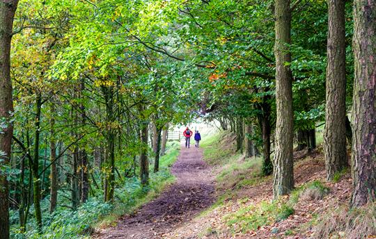 Walking in the countryside