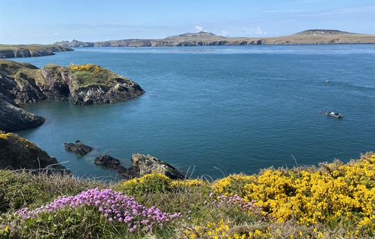 Beautiful coastal walks