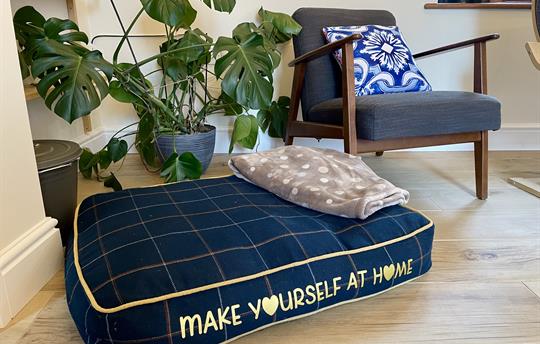 Make yourself at home!