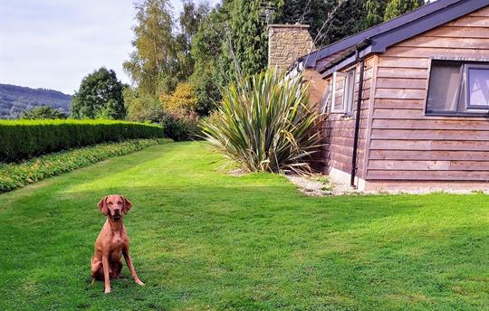 Dogs welcome – amazing walks start at the doorstep