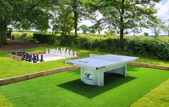 Table tennis and Chess