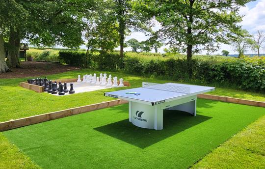 Table tennis and Chess