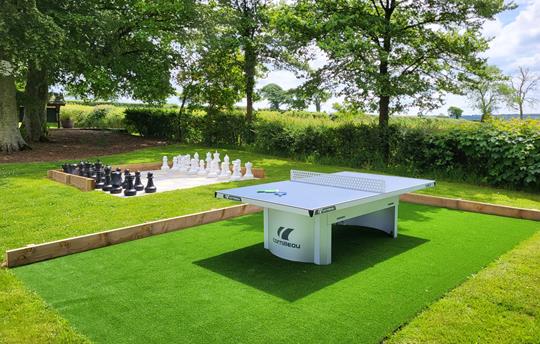 Table tennis and Chess