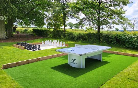 Table tennis and Chess