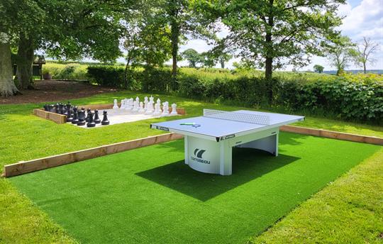 Table tennis and Chess