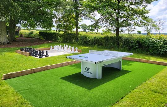 Table tennis and Chess