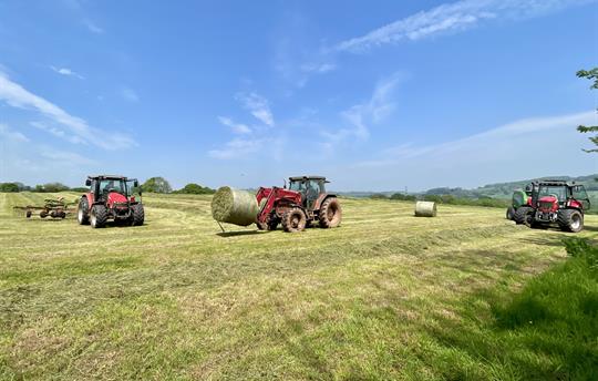 Organic farming in the Somerset Countryside.