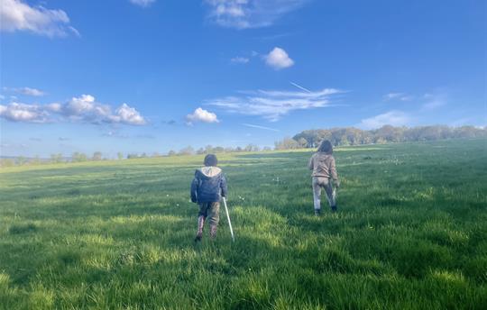 Walks around the farm.