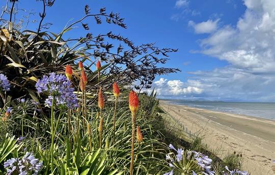 On miles of safe sandy Blue and Green flag beach 