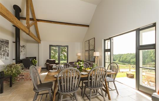 Dining and living area