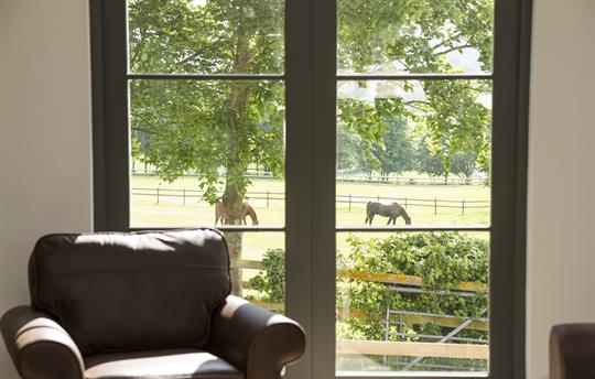 View out of living room window to paddock 