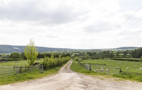 Where to go? Walking is fantastic all around us