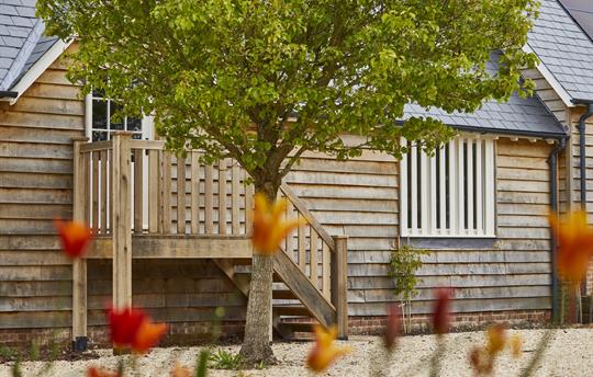 Top Cottage from the Barn