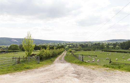 Where to go? Walking is fantastic all around us