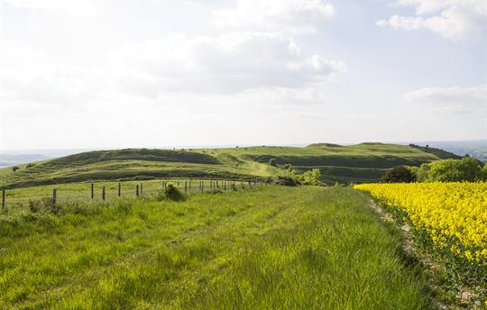 Top of Hambledon Hill with ramparts