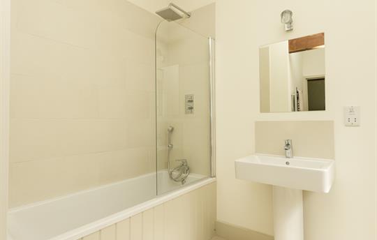 Fox Ditch Master bathroom