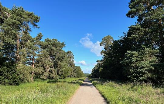 Monnington Walk - 5 minutes  from The Cider Mill