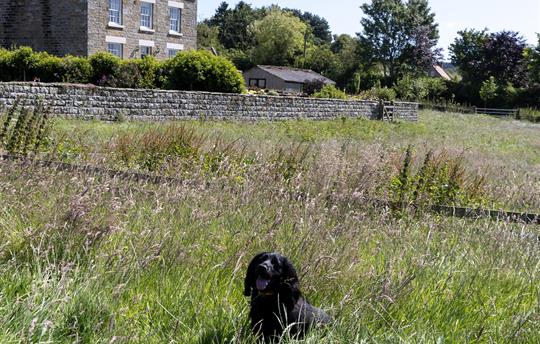 Thirley Cotes Landscape 