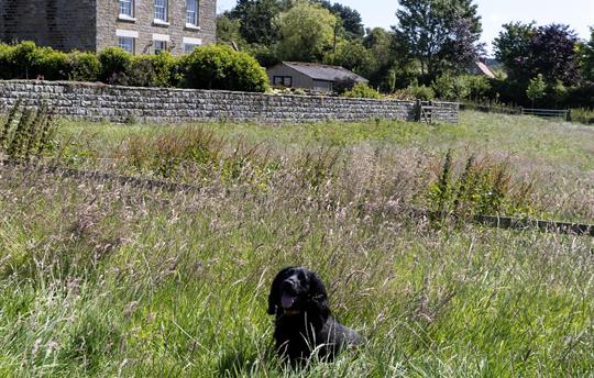 Thirley Cotes Landscape 